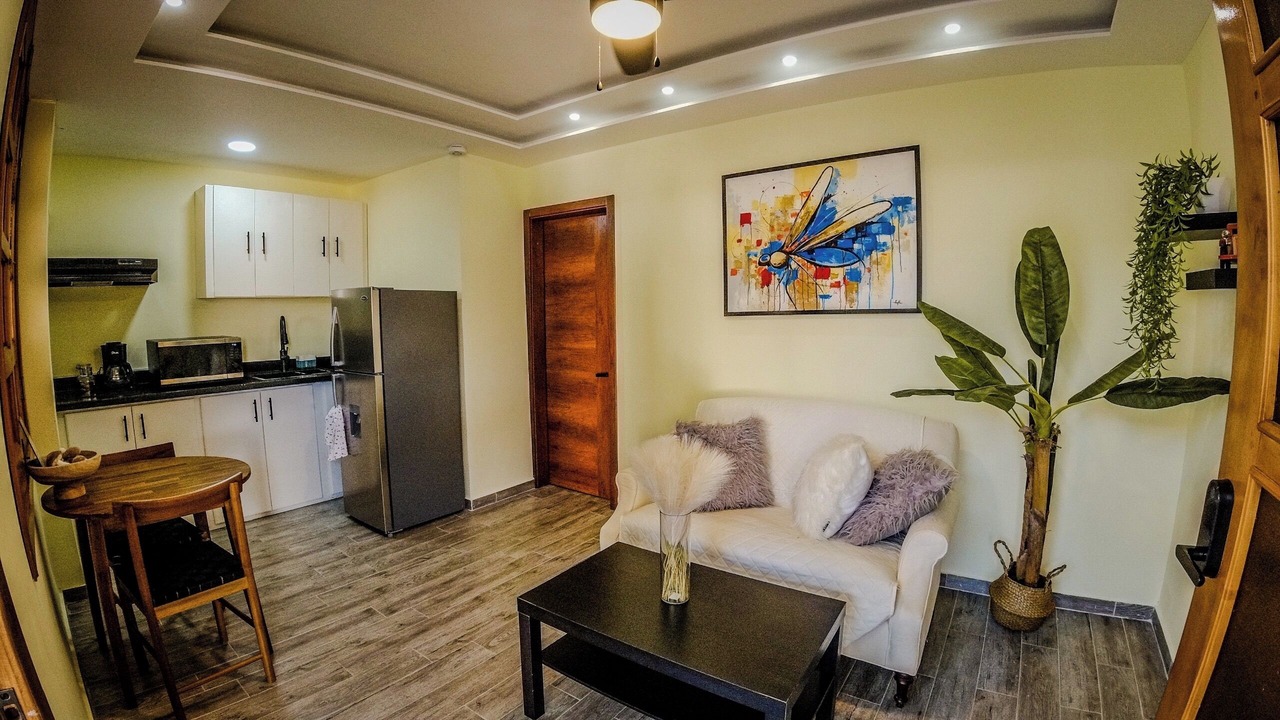 Photo of Livingroom in Barahona