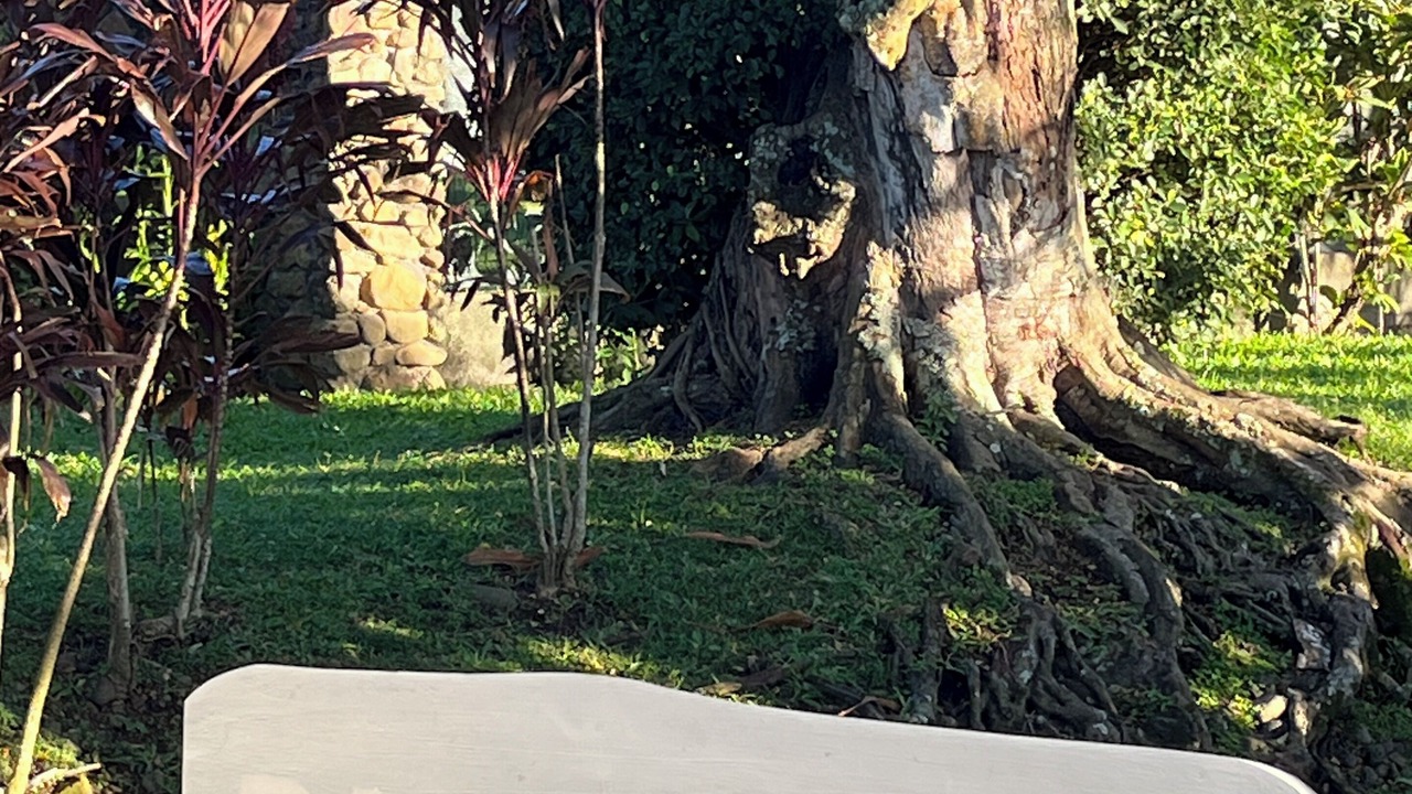 Photo of Outdoor in Papara