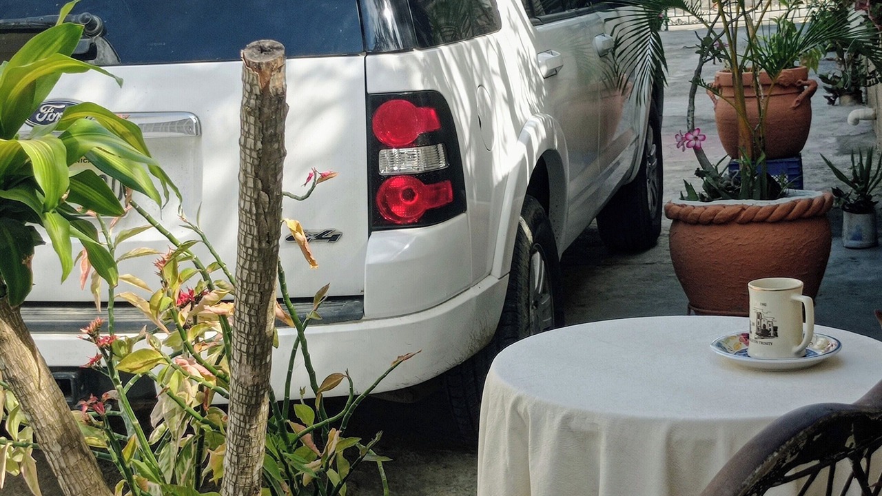 Photo of Outdoor in Boca Chica