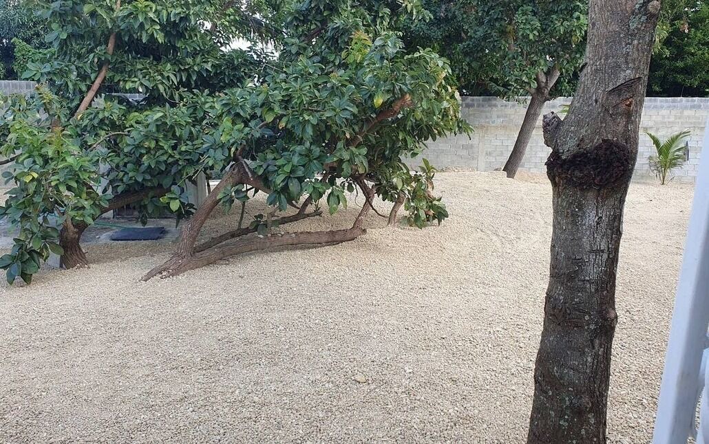 Photo of Outdoor in Bajos de Haina