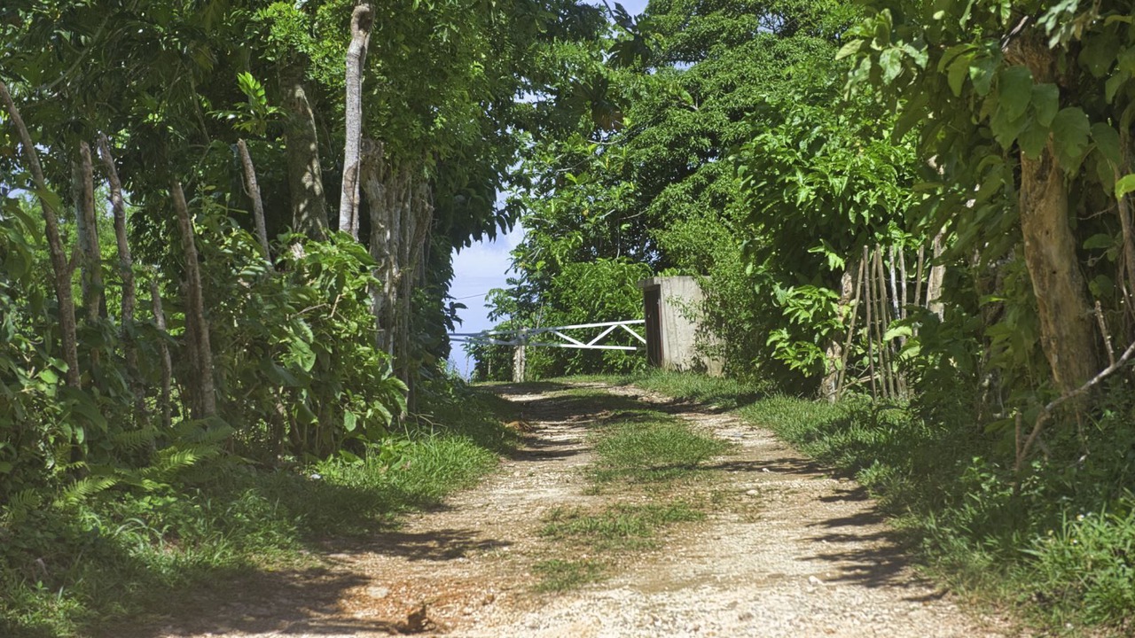 Photo of Outdoor in Los Puentes
