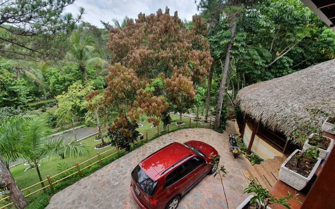 Photo of Outdoor in Pedro Brand