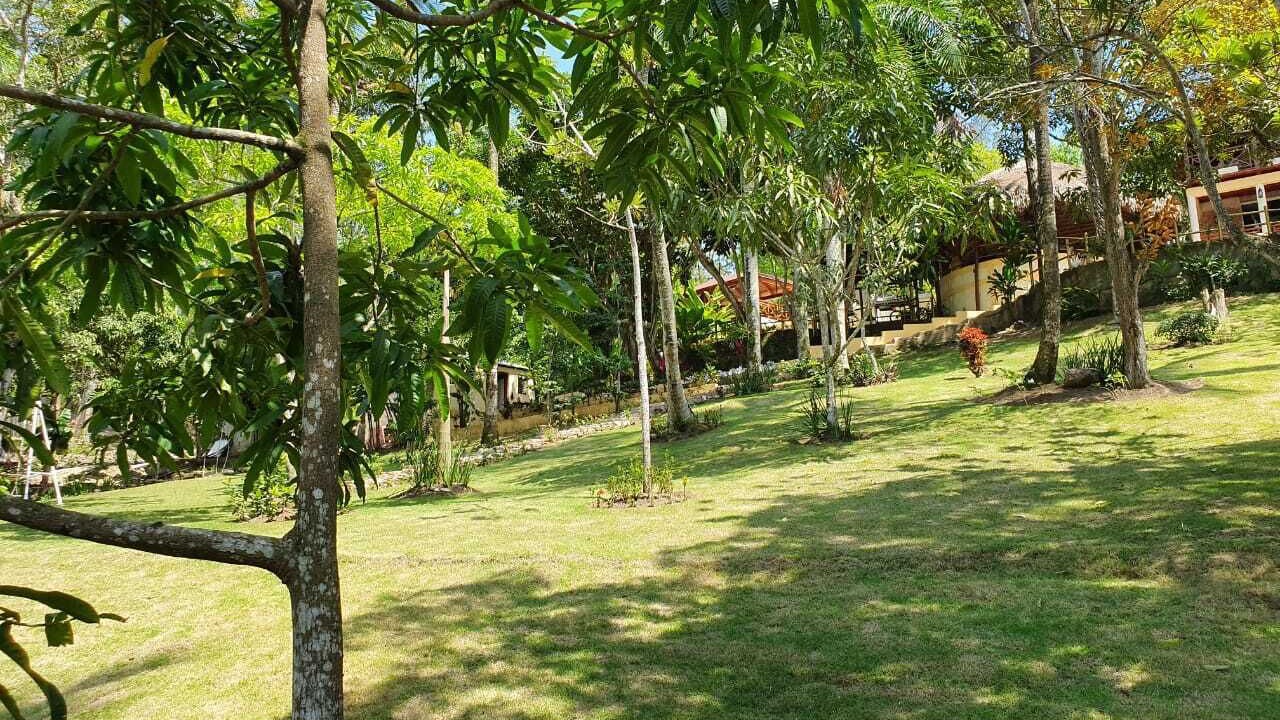 Photo of Outdoor in Pedro Brand