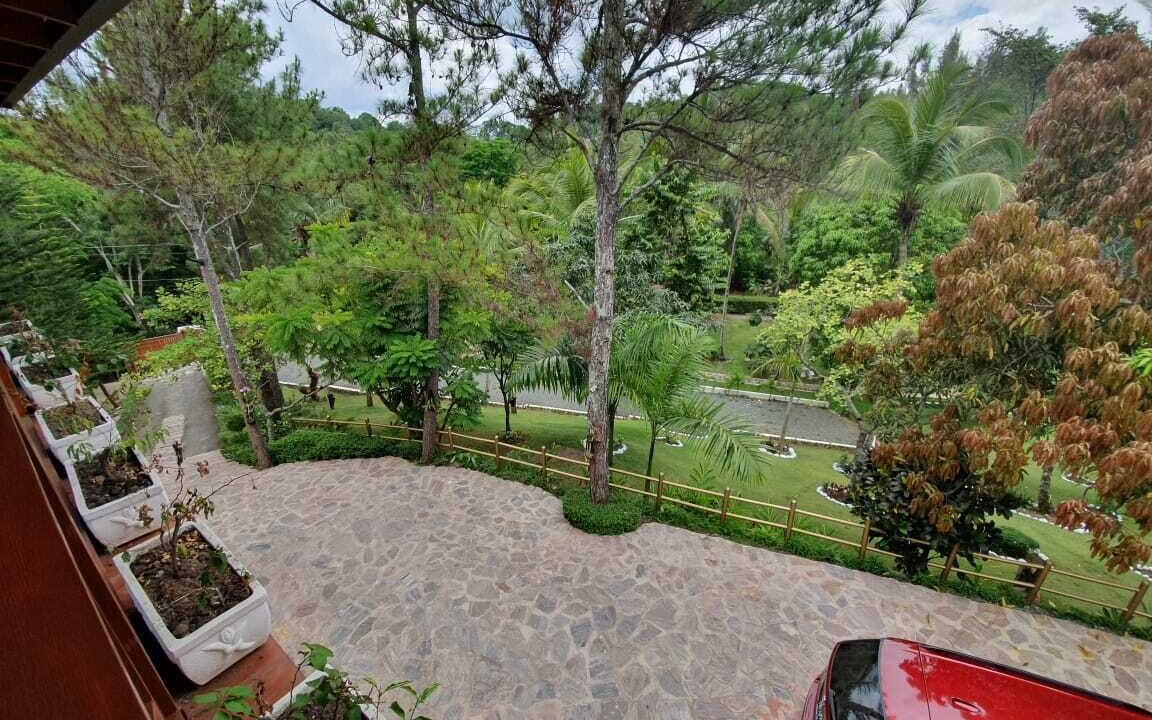 Photo of Outdoor in Pedro Brand