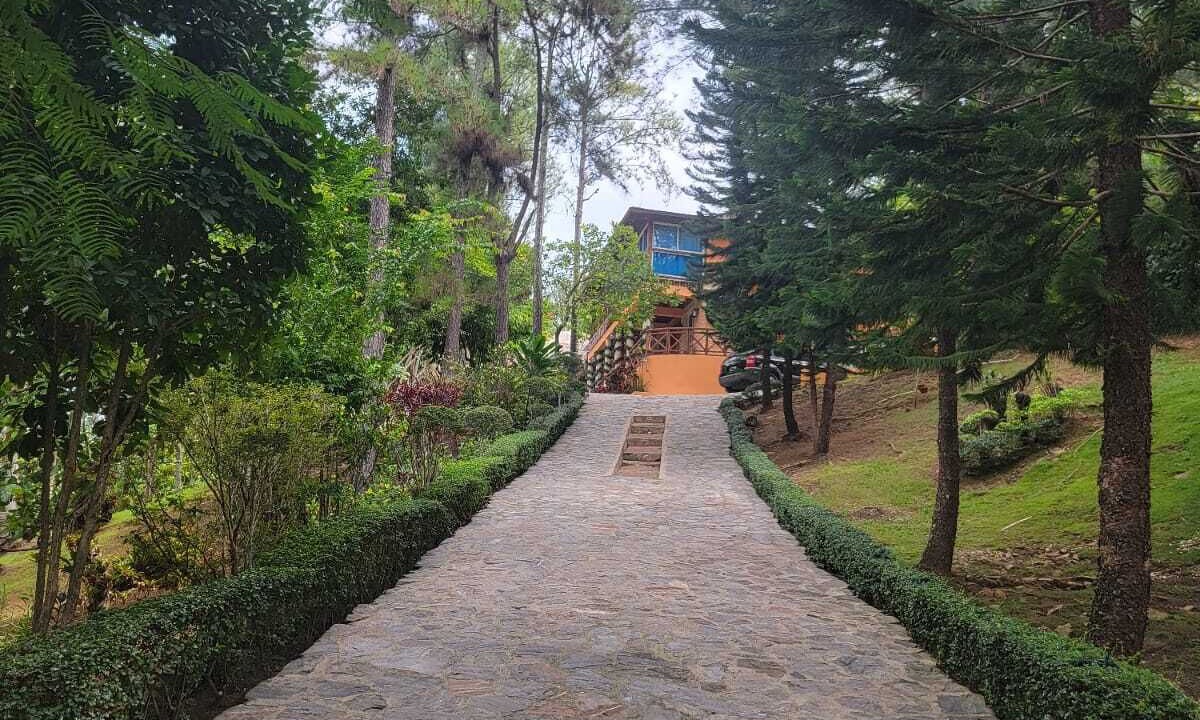 Photo of Outdoor in Pedro Brand