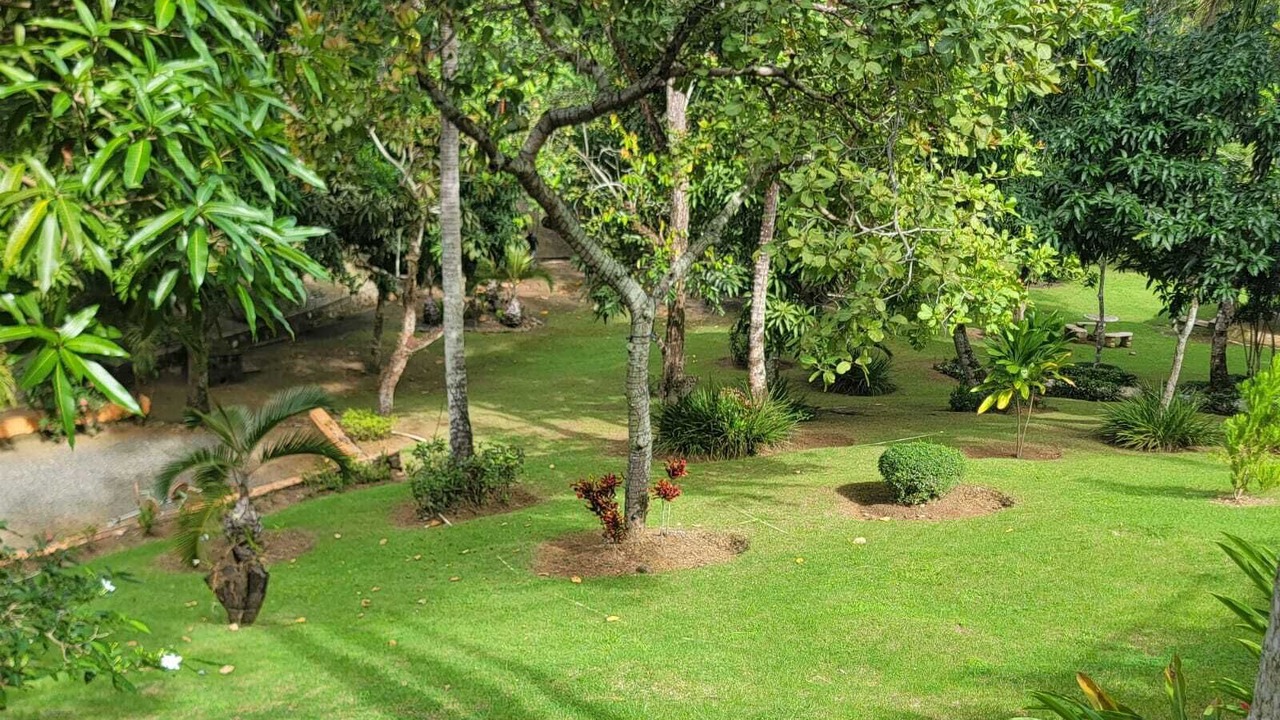 Photo of Outdoor in Pedro Brand