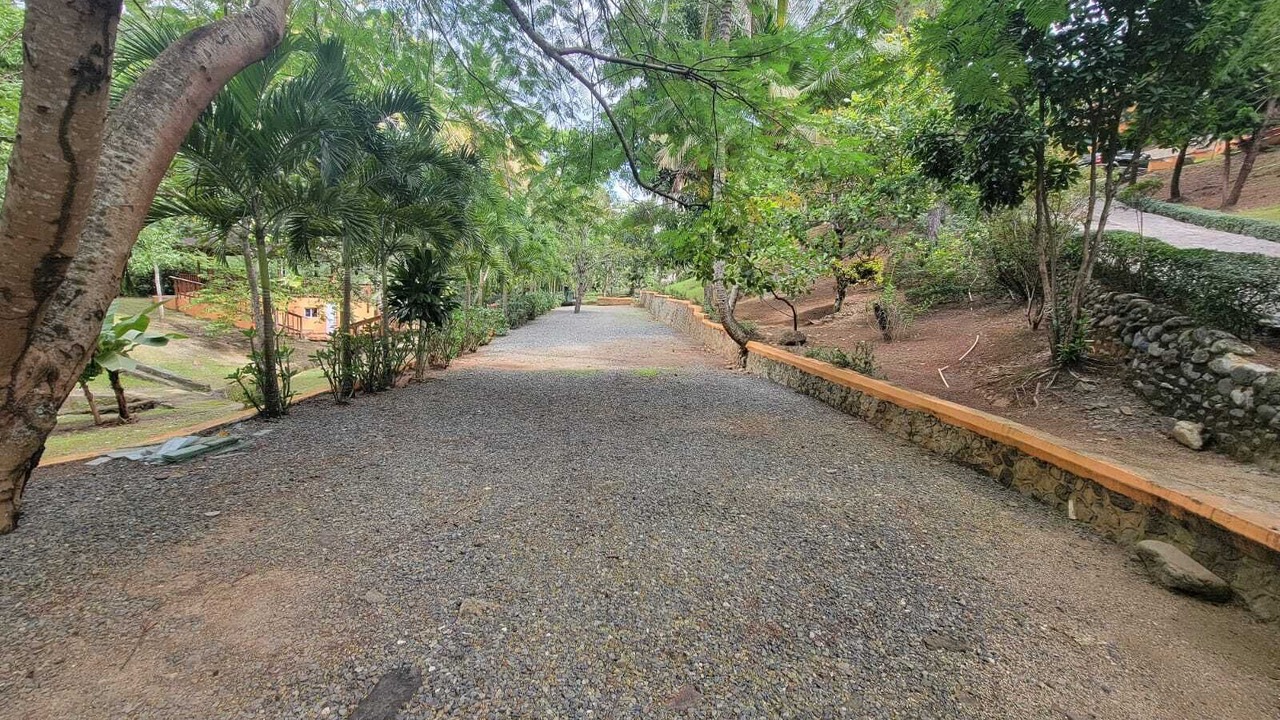Photo of Outdoor in Pedro Brand
