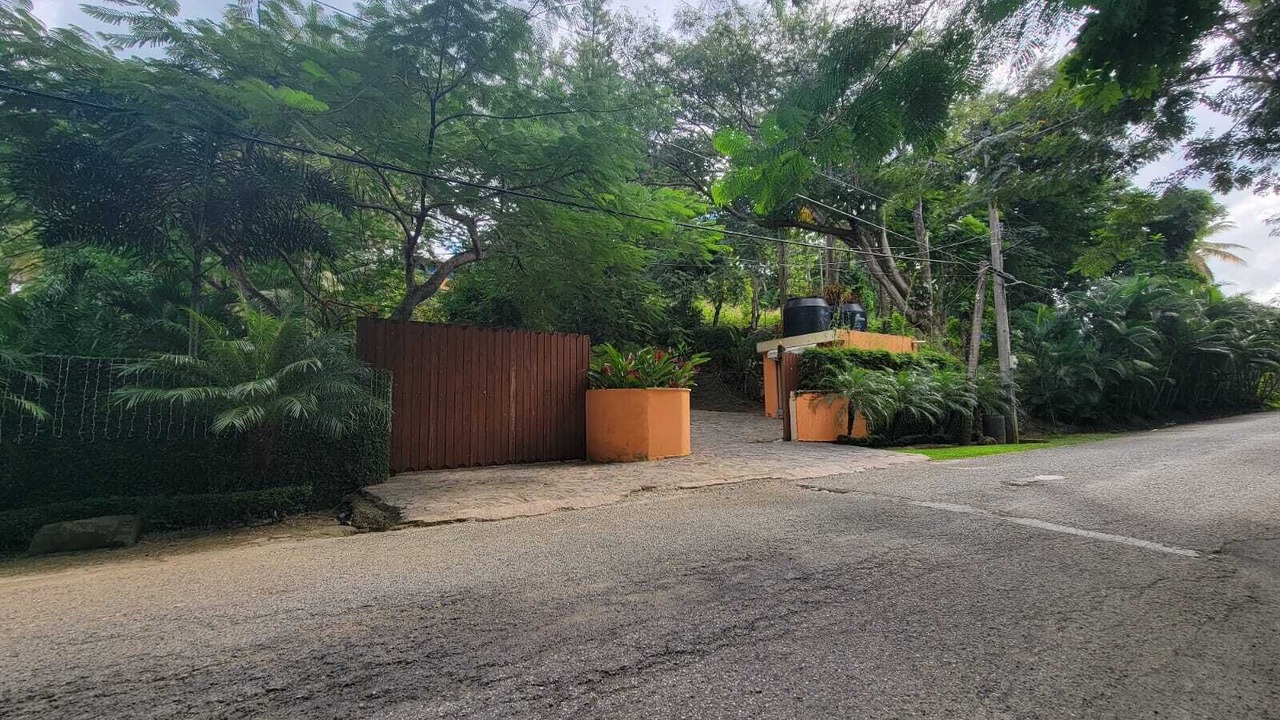Photo of Outdoor in Pedro Brand