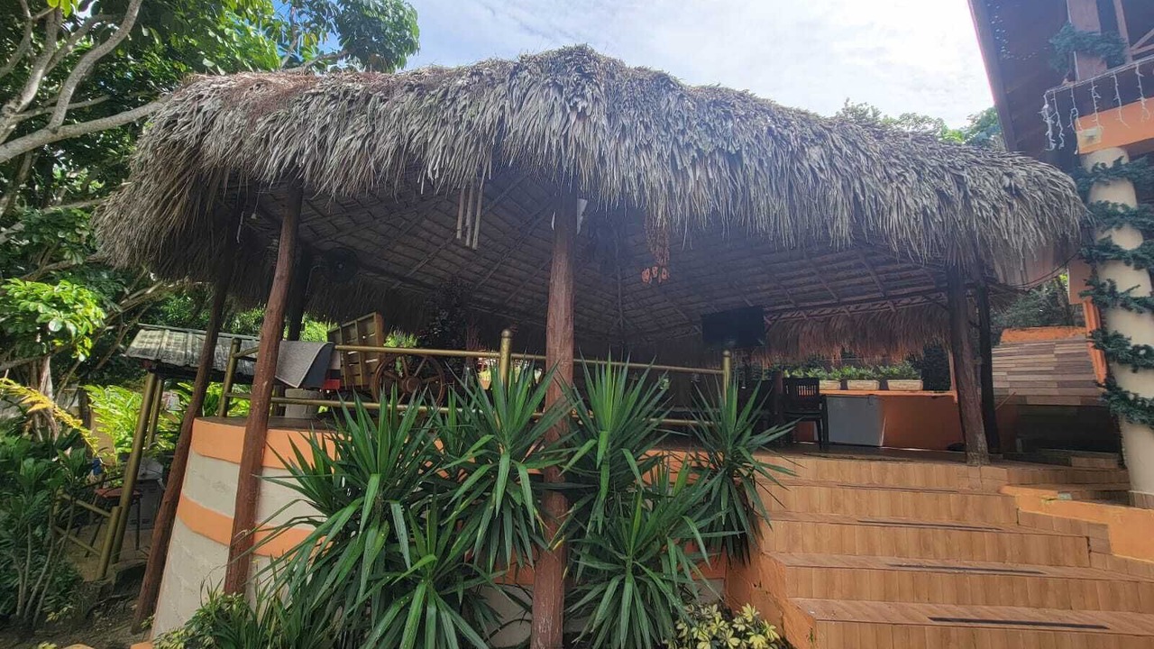Photo of Outdoor in Pedro Brand