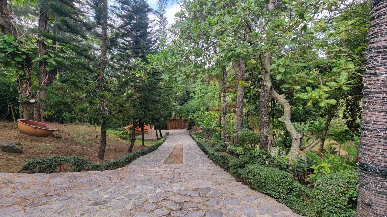 Photo of Outdoor in Pedro Brand
