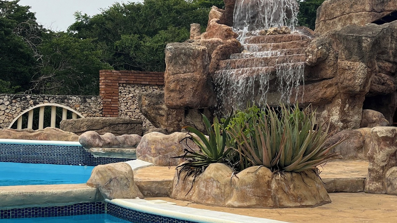 Photo of Outdoor in North Coast