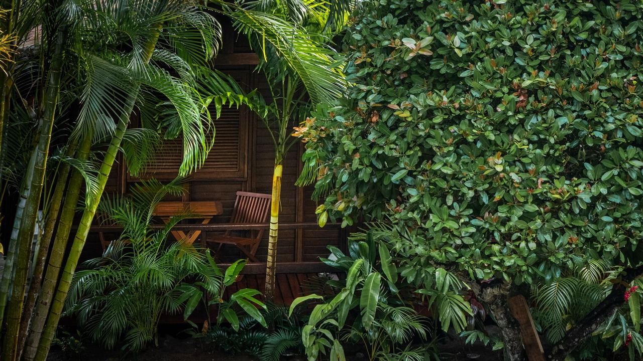 Photo of Outdoor in El Limon