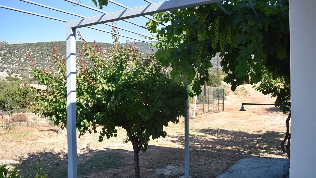Photo of Outdoor in Naxos