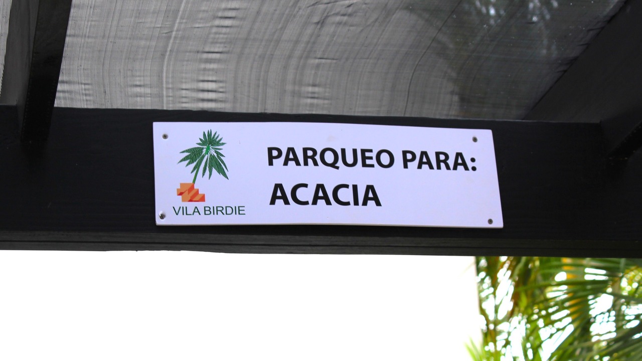 Photo of Others in Bavaro
