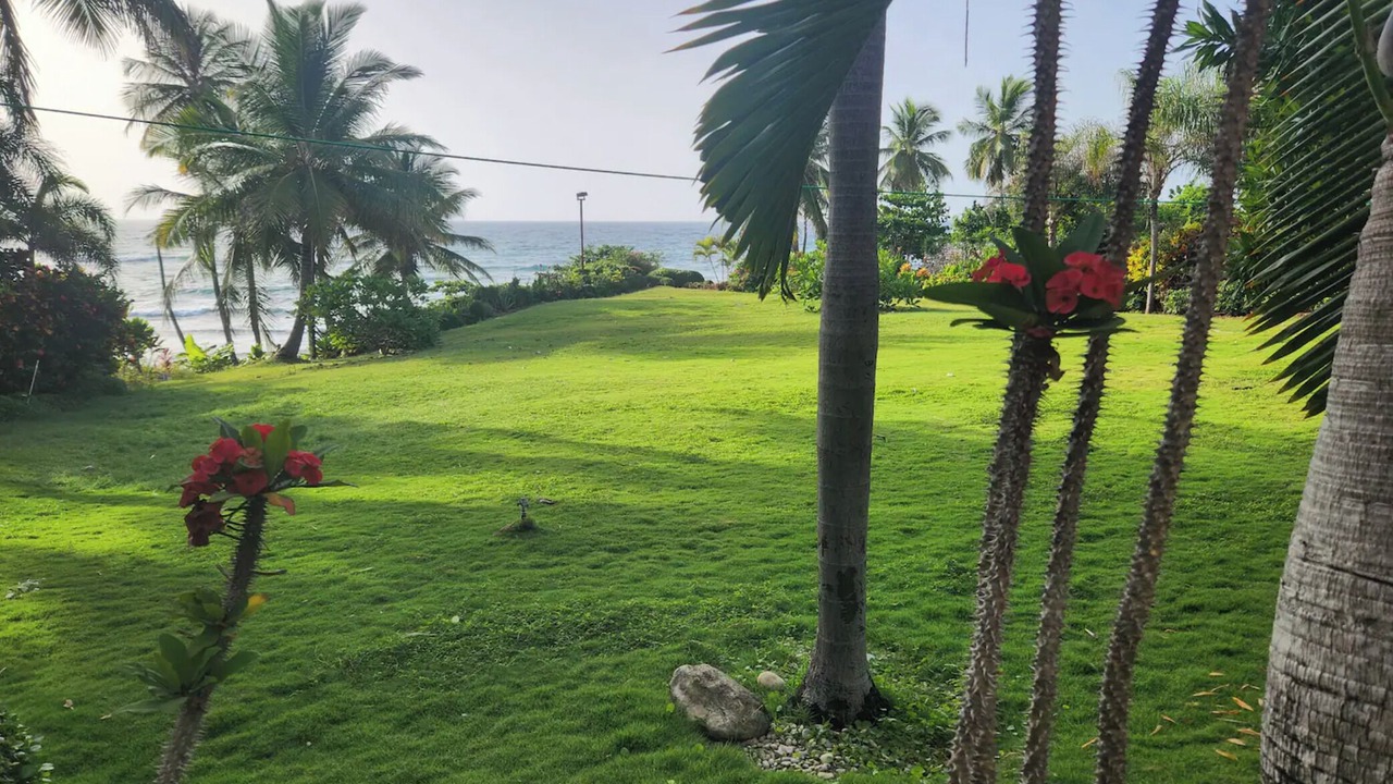Photo of Outdoor in Juan Esteban