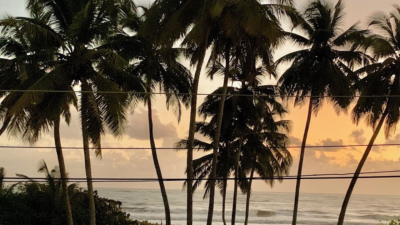 Photo of Others in Cabarete