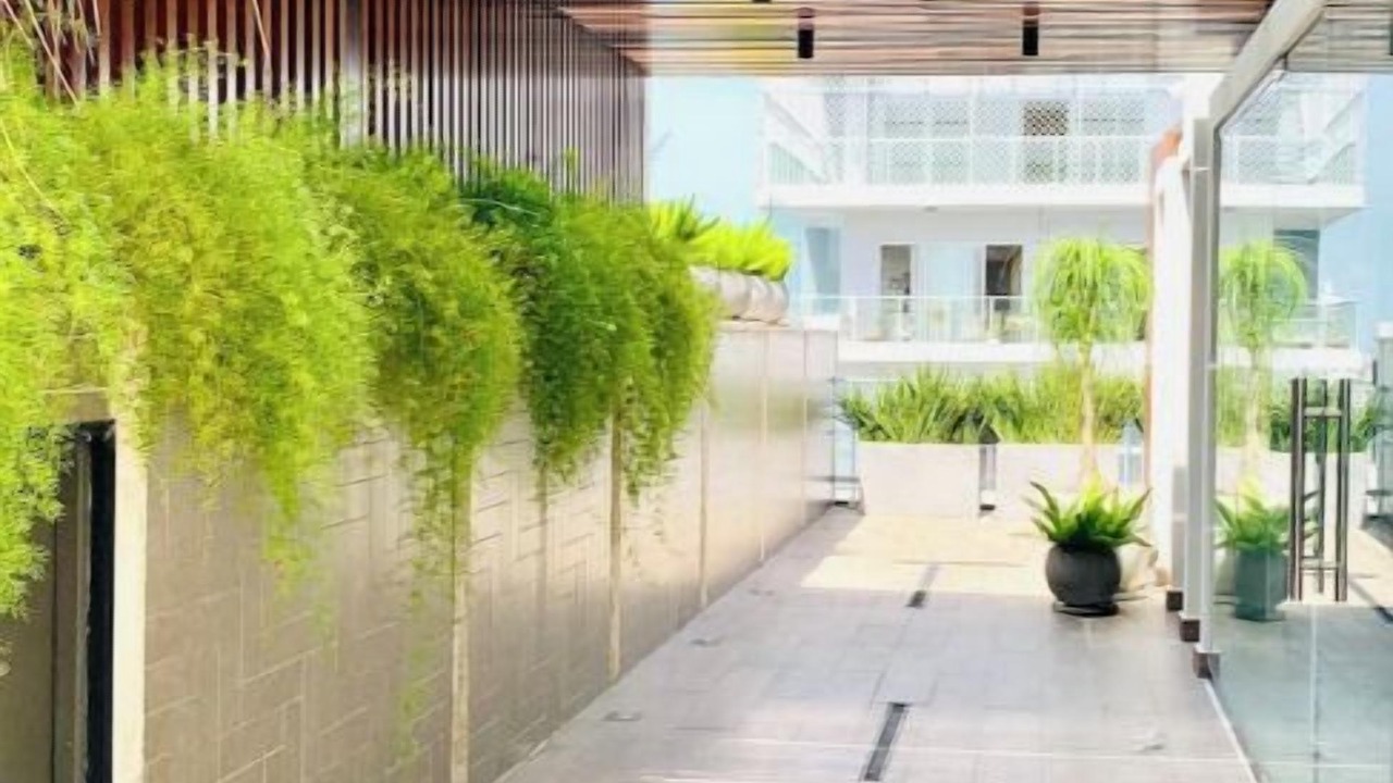 Photo of Outdoor in Serralles