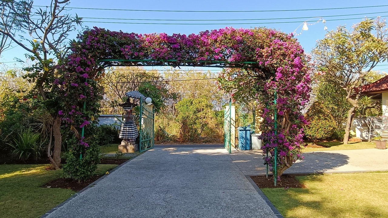 Photo of Outdoor in Umeanyar