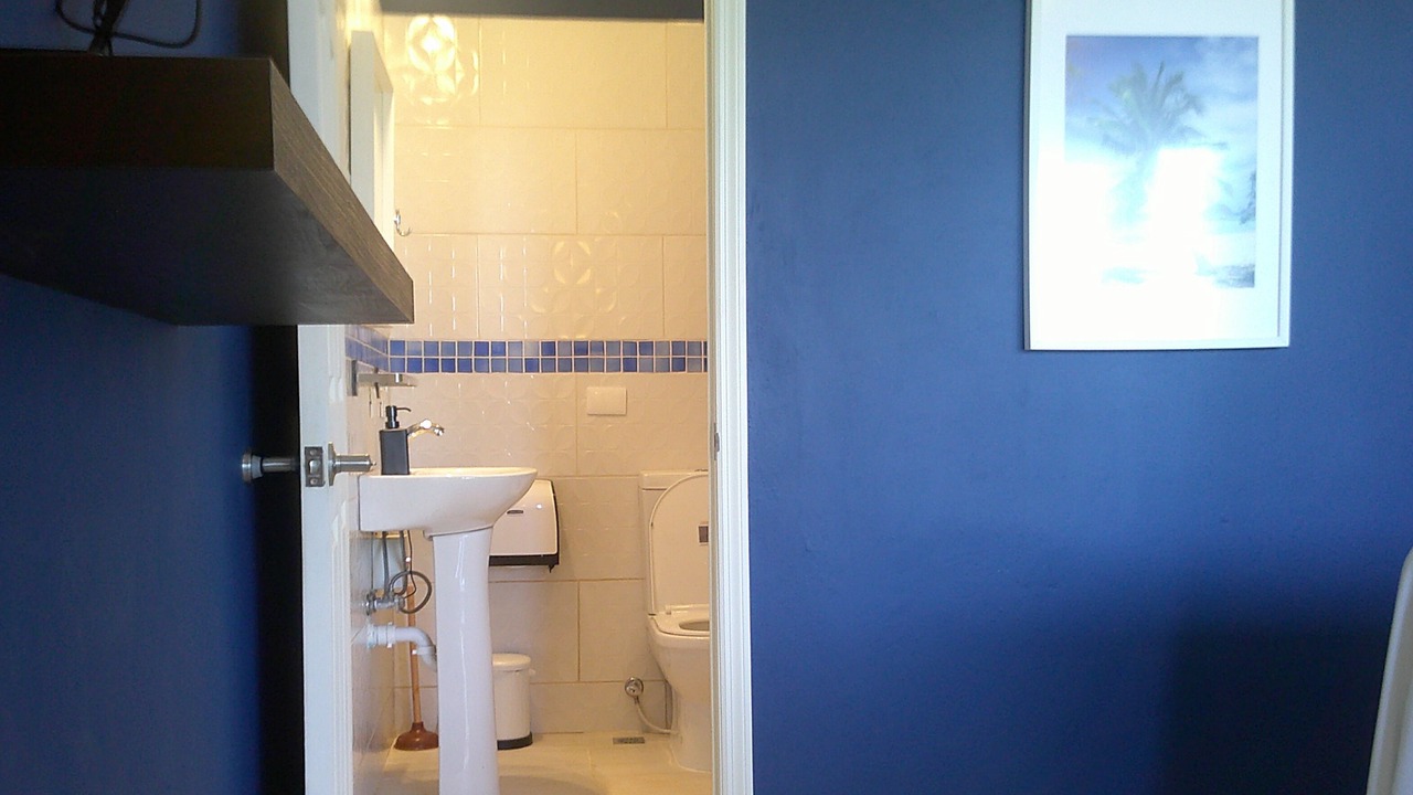 Photo of Bathroom in Sosua