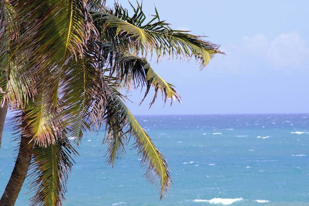 Photo of Others in Cabarete