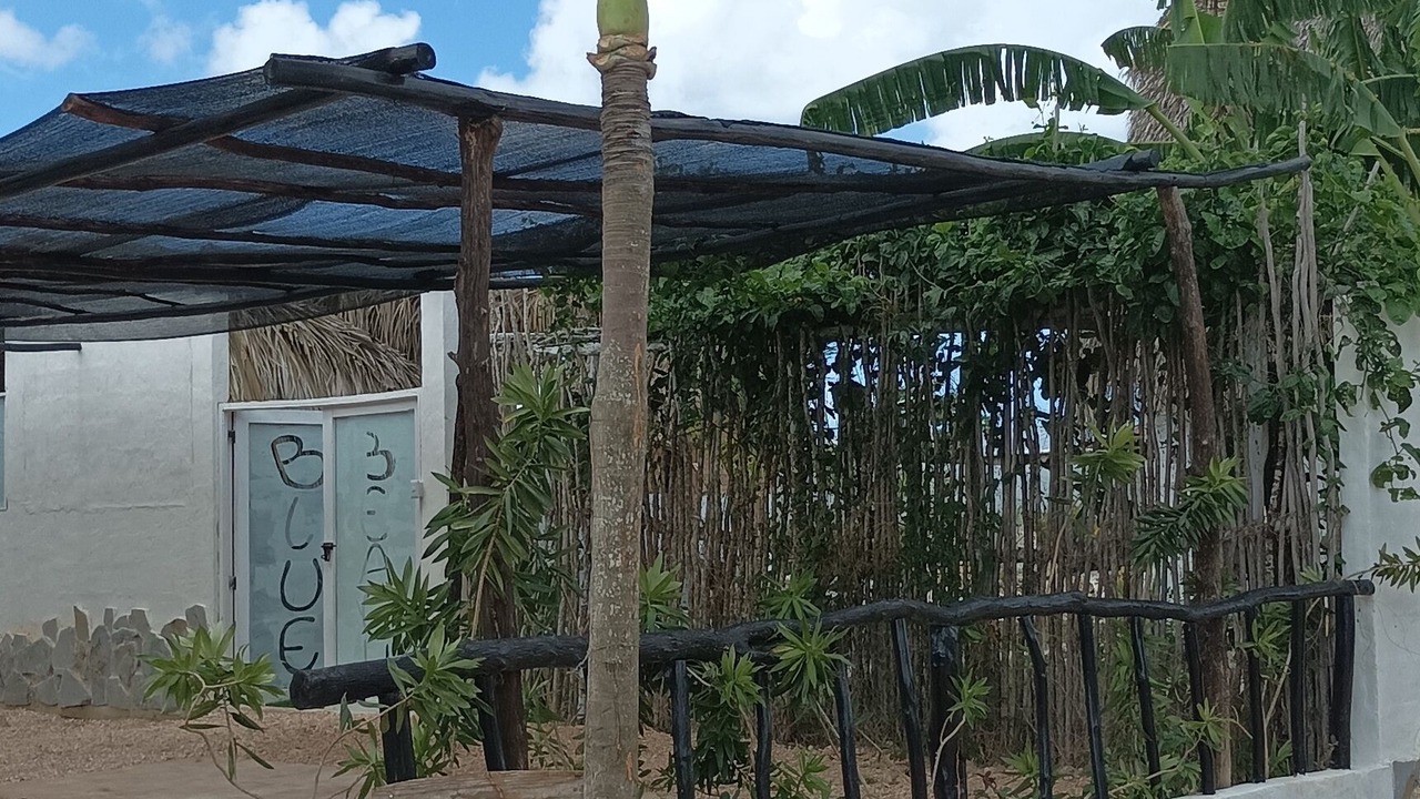 Photo of Outdoor in Bayahibe
