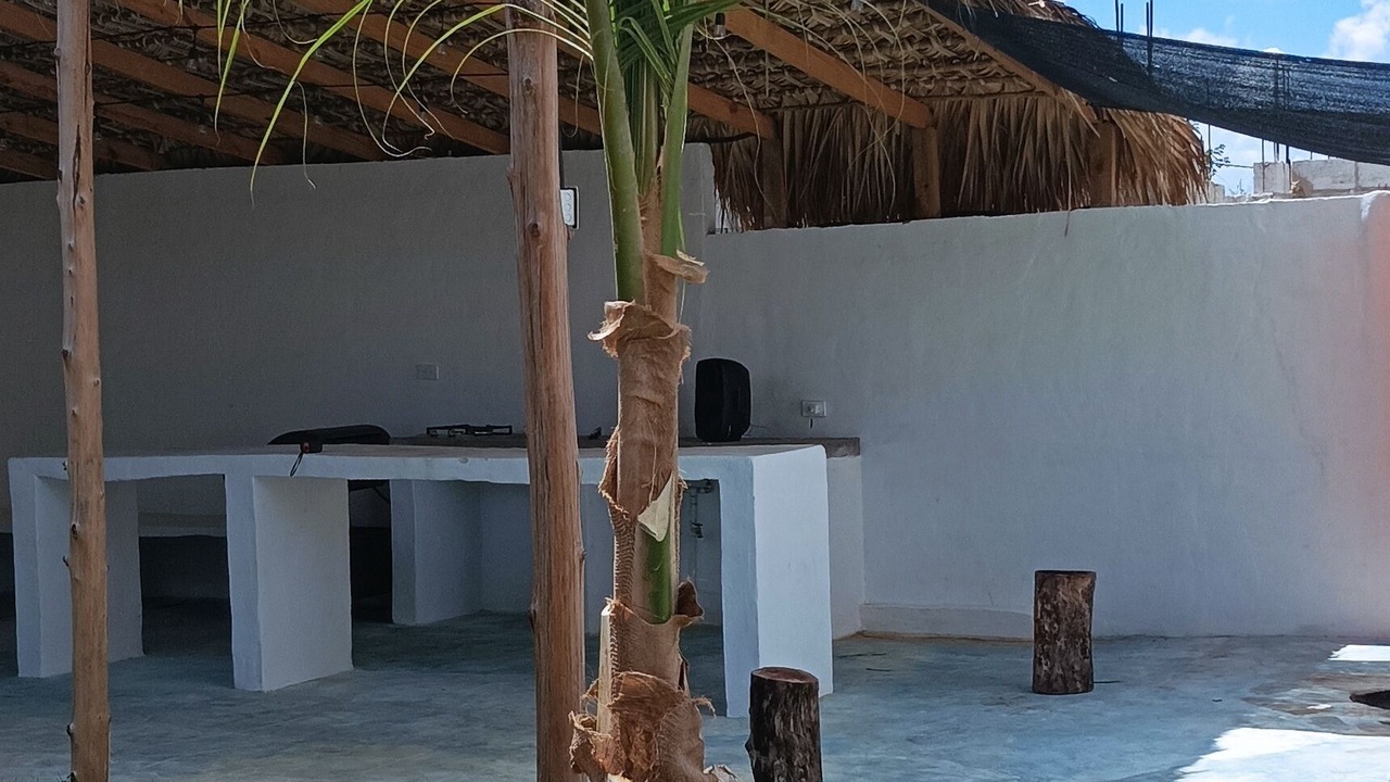 Photo of Livingroom in Bayahibe