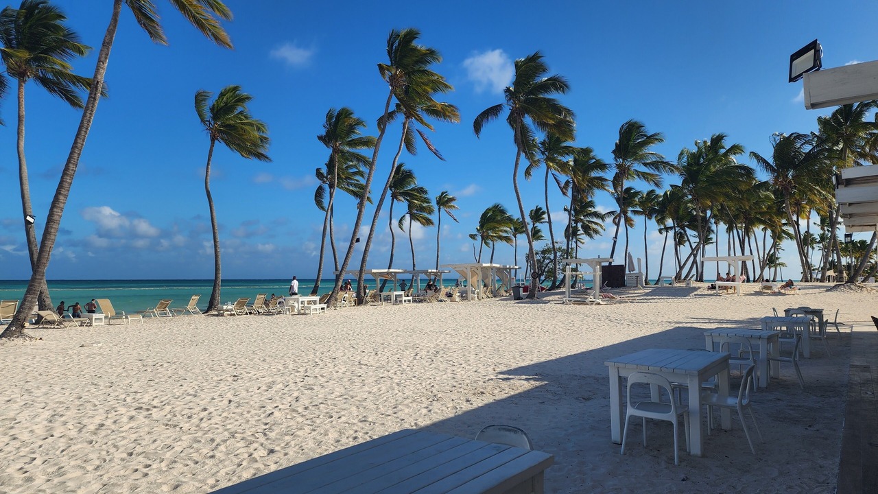 Photo of Others in Cap Cana Marina