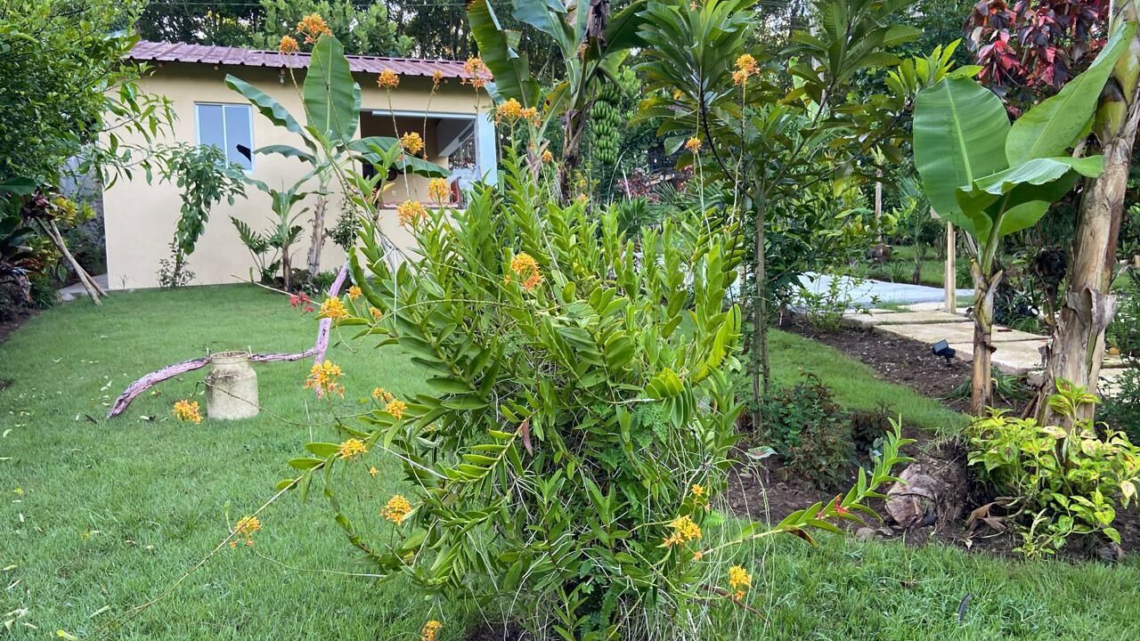 Photo of Outdoor in La Vega Province