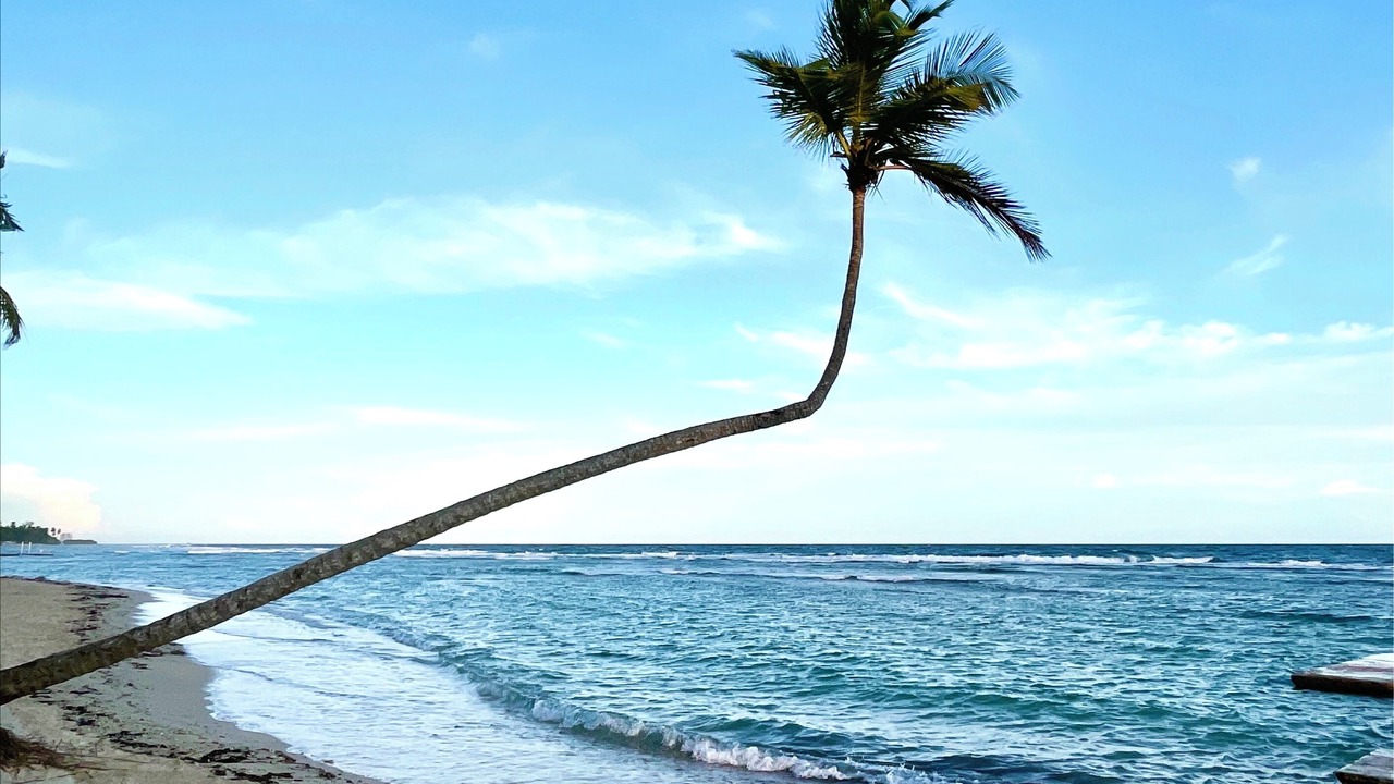 Photo of Others in Quisqueya