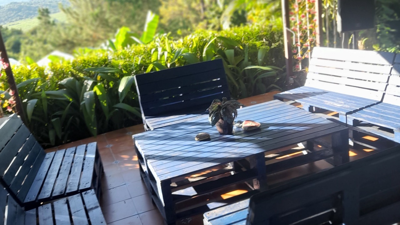 Photo of Outdoor in Villa Mella