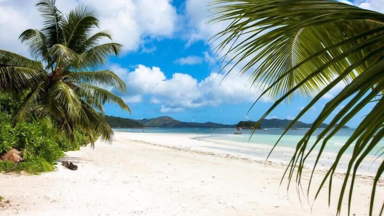 Photo of Others in Praslin Island