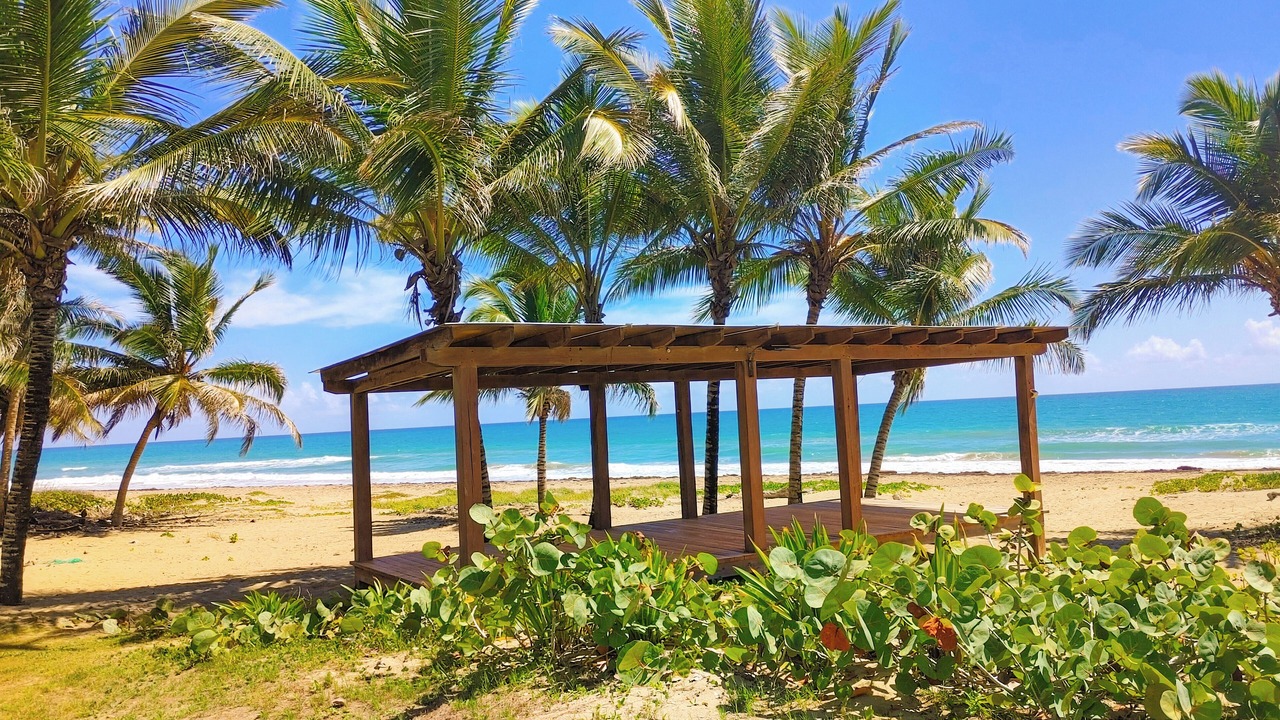 Photo of Others in Cabarete