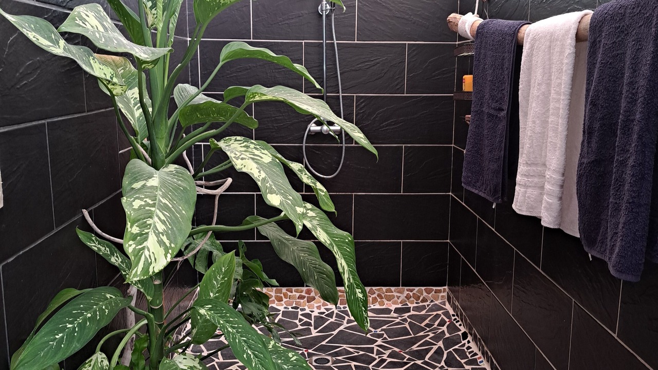 Photo of Bathroom in Temae