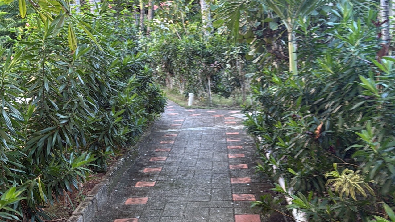 Photo of Outdoor in Juan Dolio - El Pueblo