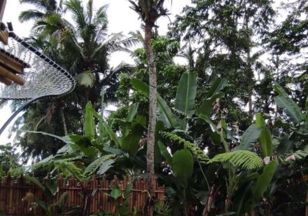 Photo of Outdoor in Kenderan