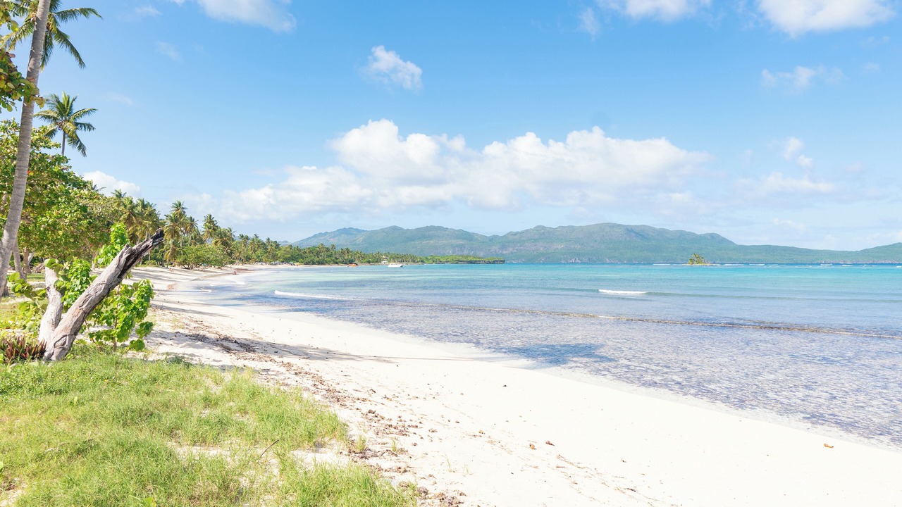 Photo of Others in Las Galeras