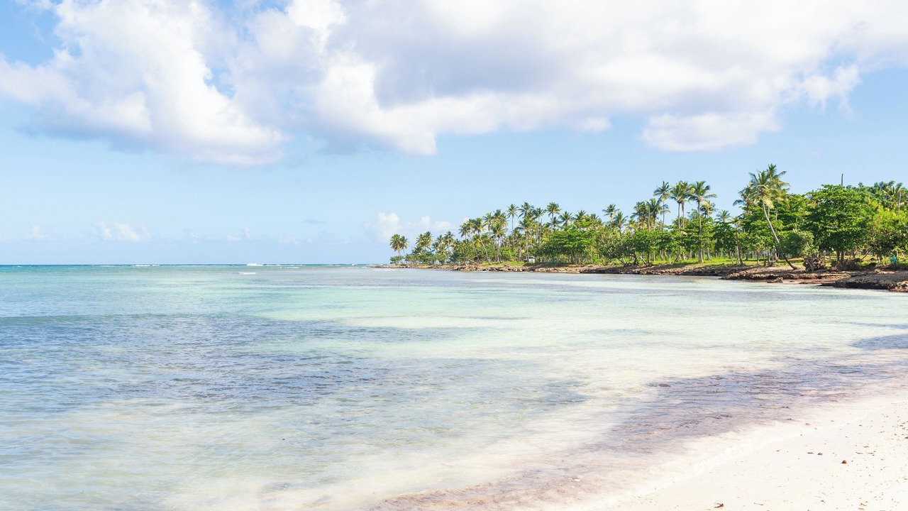 Photo of Others in Las Galeras