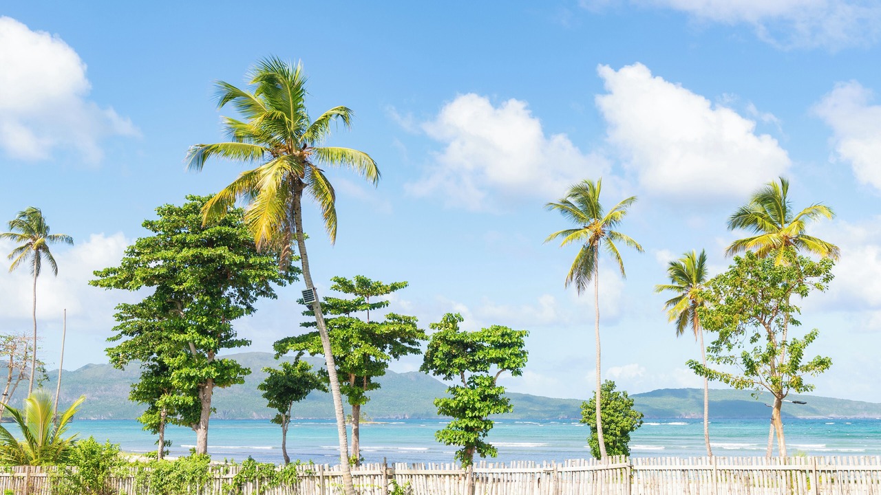 Photo of Others in Las Galeras