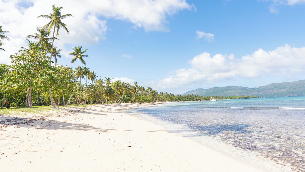 Photo of Others in Las Galeras