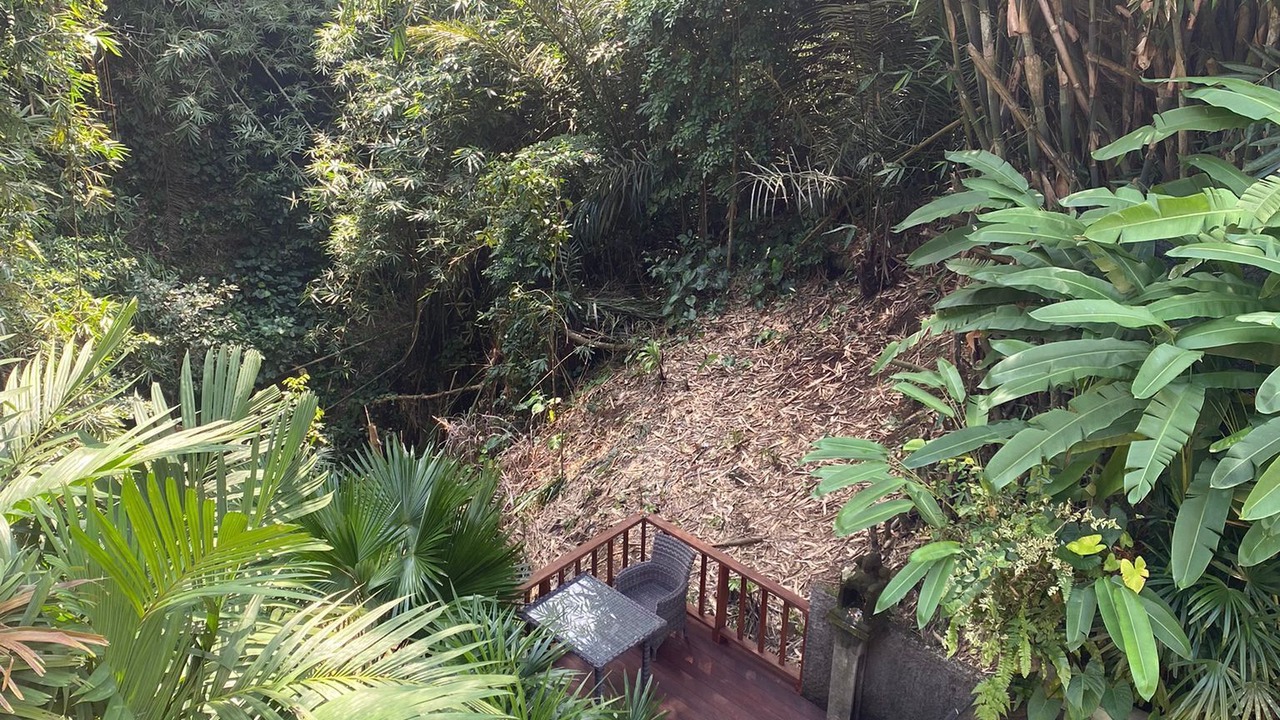 Photo of Outdoor in Peliatan