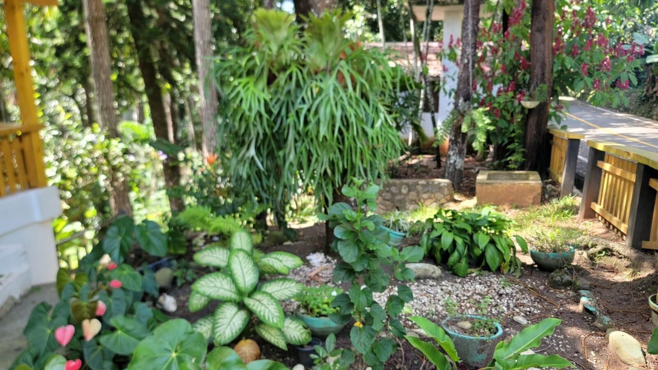 Photo of Outdoor in La Joya