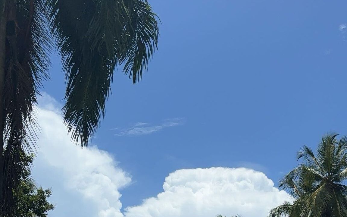 Photo of Others in Puerto Bahia