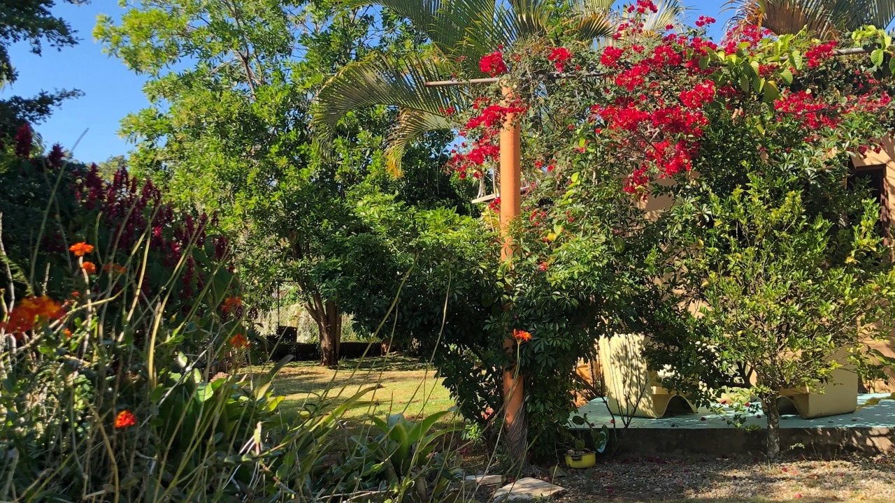 Photo of Outdoor in La Joya