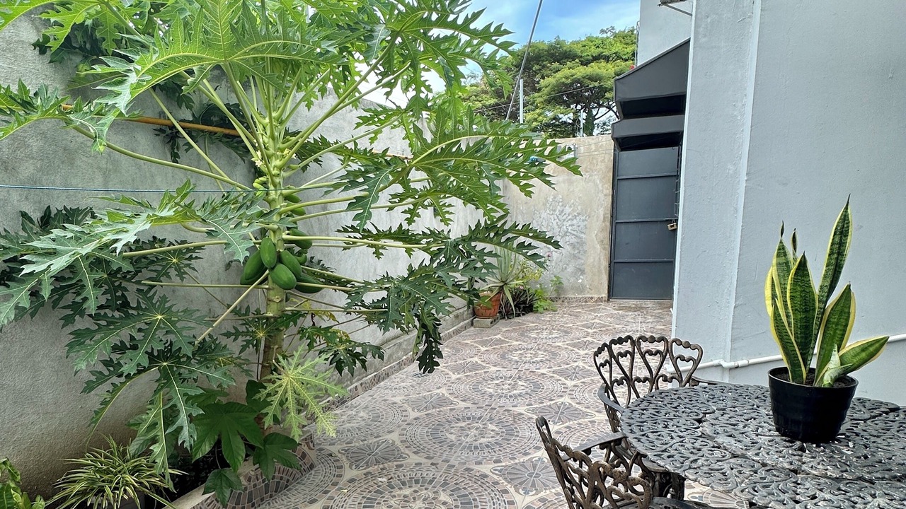 Photo of Outdoor in Santo Domingo Oeste
