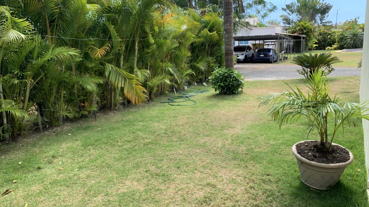 Photo of Outdoor in Boca Chica