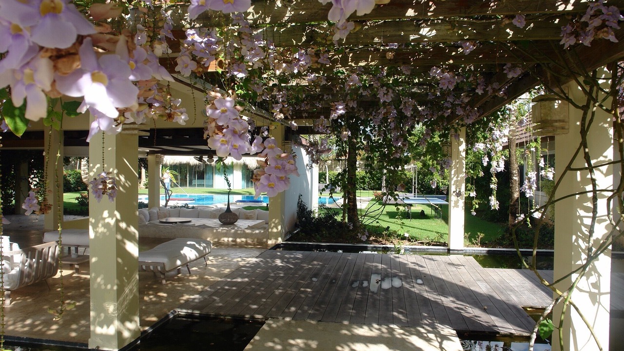 Photo of Others in Bavaro