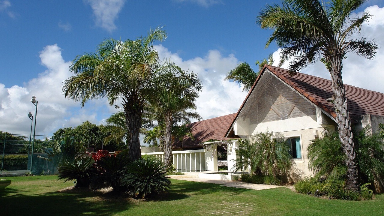 Photo of Others in Bavaro