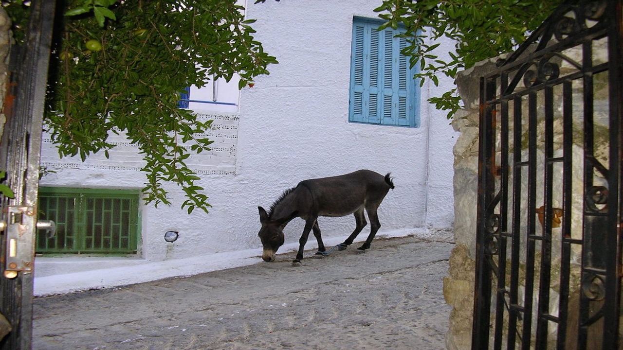 Photo of Outdoor in Agkidia