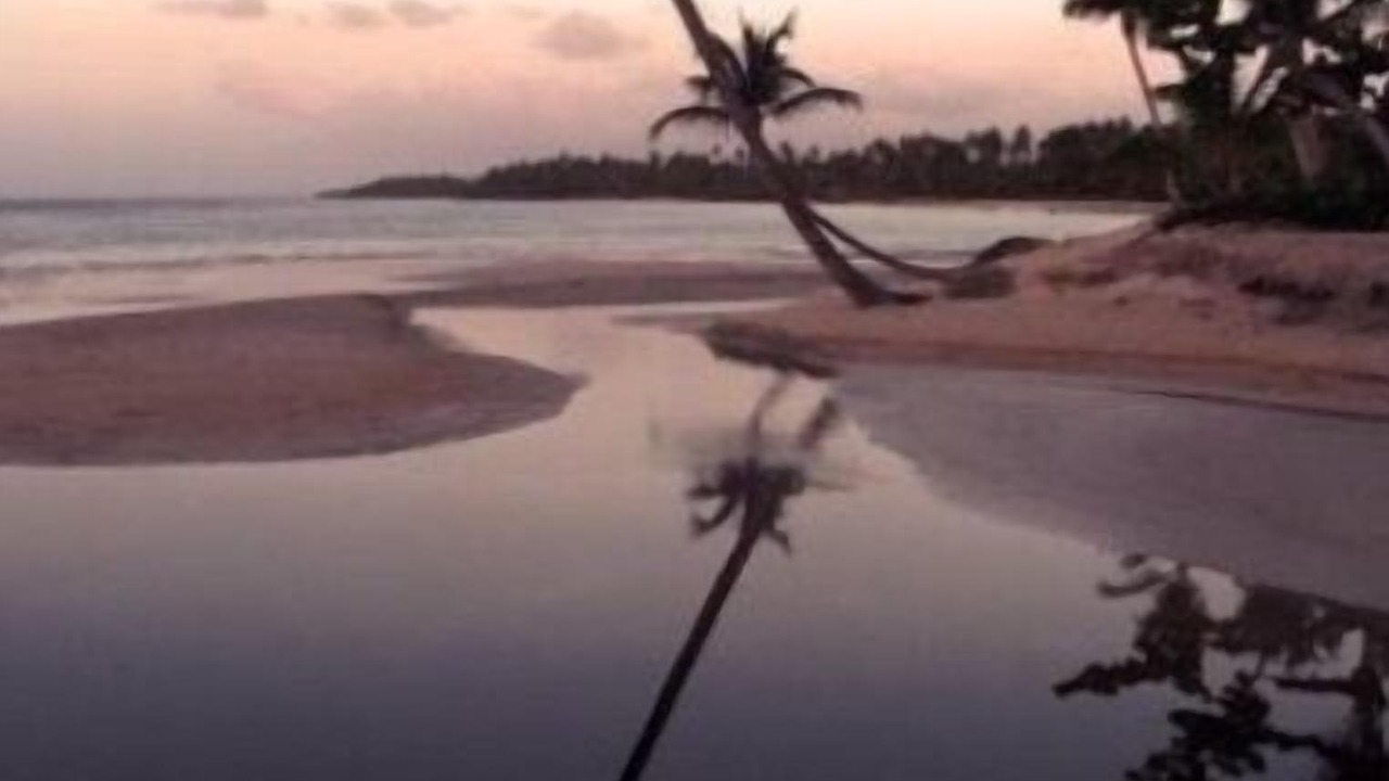 Photo of Others in Puerto Bahia
