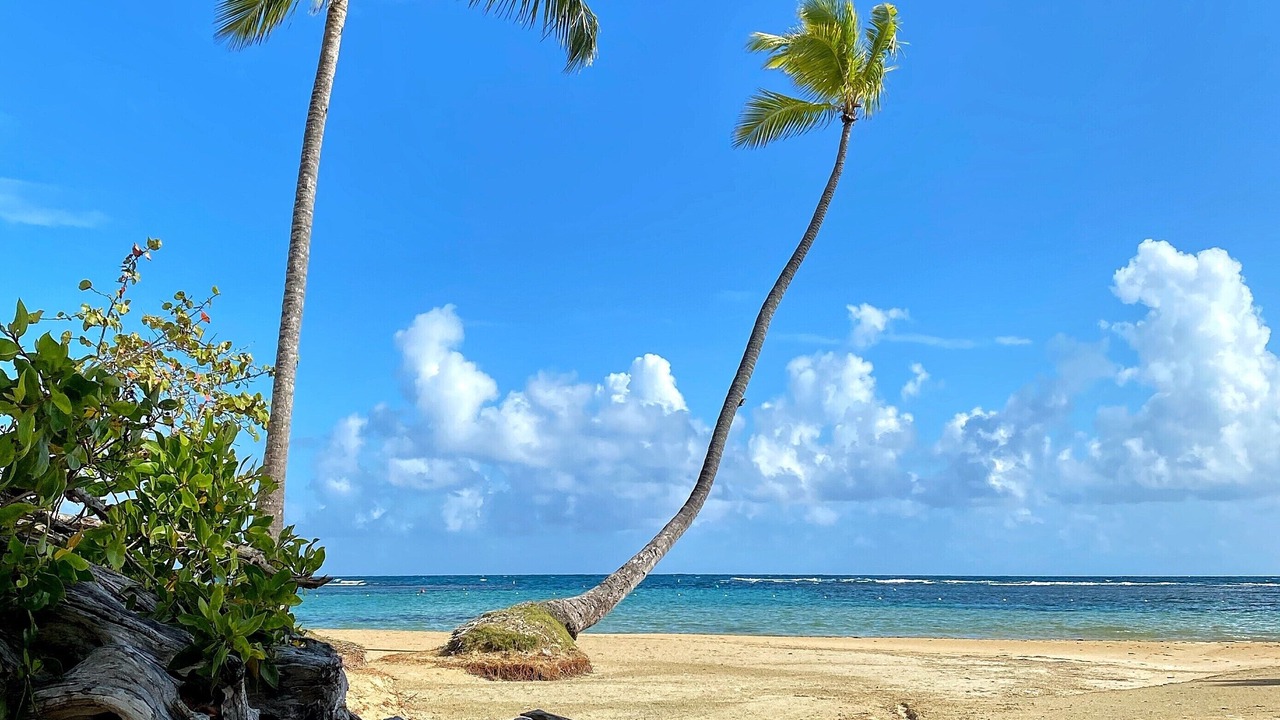 Photo of Others in Puerto Bahia